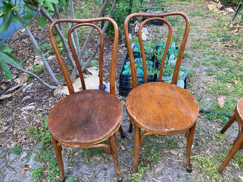 Antique chairs set - antique, six