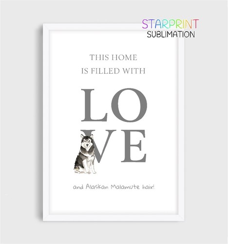 Alaskan malamute this home - "this, home"