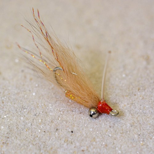 Flies tan and orange - 6, crazy