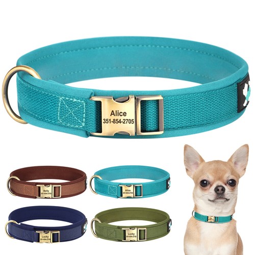 Personalised nylon dog - dog, collar