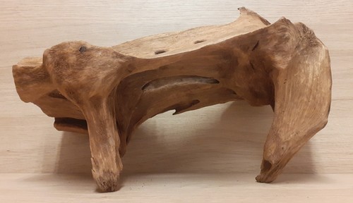 Natural bog wood fish tank - bog,