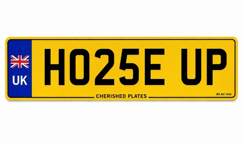 Cherished number plate - number, horse