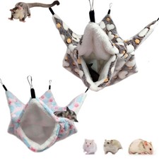 Ferret Rat Squirrel Pet Bird