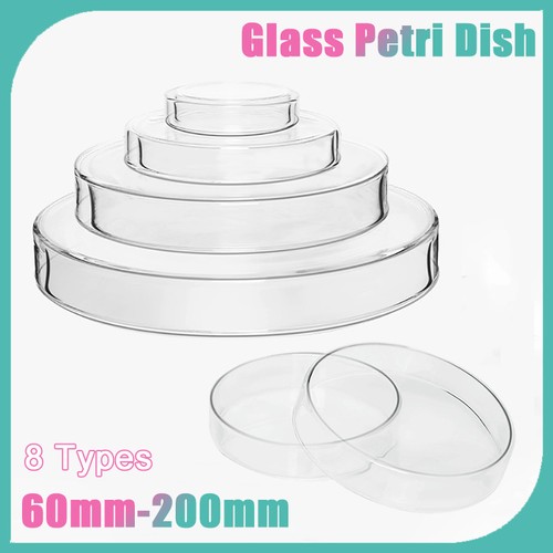 Glass petri dish - dish, 60mm-200mm