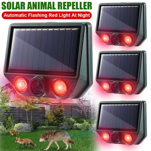 4pack solar ultrasonic - 1-4pack,