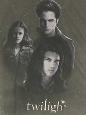 Twilight Movie Graphic Tee