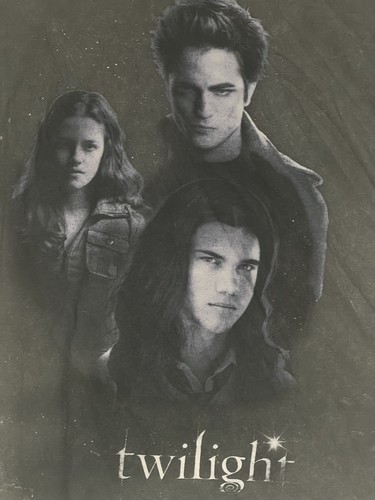 Twilight movie graphic tee - movie,