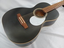 ART&LUTHERIE AMI Acoustic