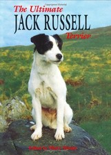 The Ultimate Jack Russell