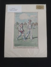 Cricket A Punch Cartoon hand coloured (1)