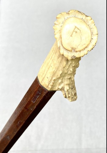 Vintage antique antler - antique,