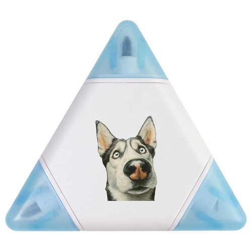 Funny husky dog portrait - 'funny,