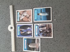 Vintage Sugar Puffs Cereal Trade Card Set Featuring PENGUINS