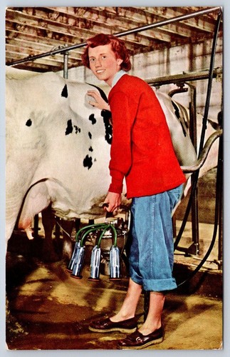 Vintage photochrome dairy - photochrome,