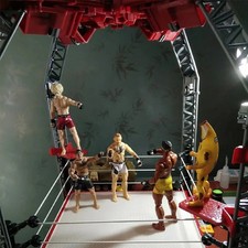 WWE Wrestling Ring for Action