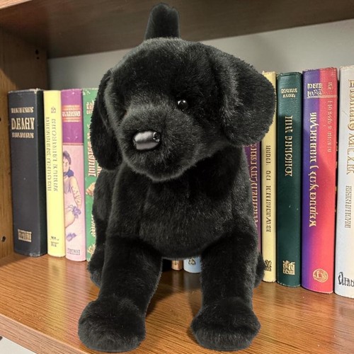 Dog soft toy - toy, black
