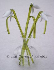 BUNCH OF SNOWDROPS@Grass &