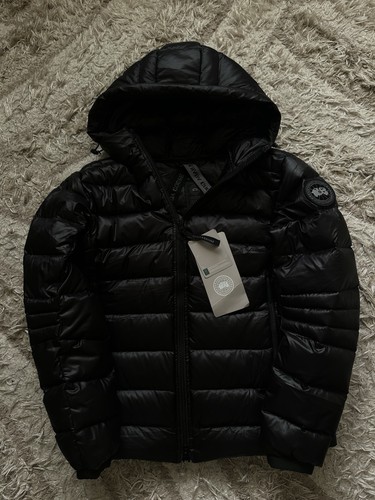 Canada goose black - goose,