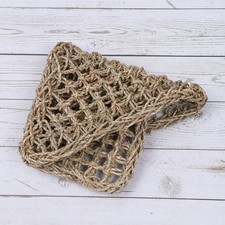 Bearded Dragon Bed Reptile