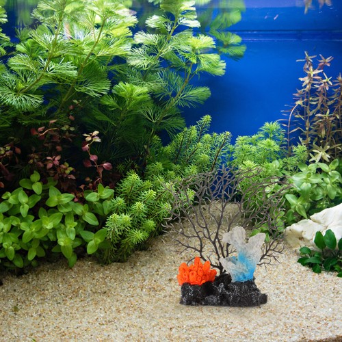 Aquarium decoration fish tank - decoration,