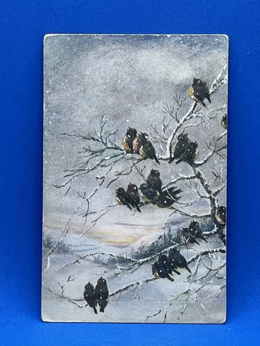 Old postcard birds stonechat - -,