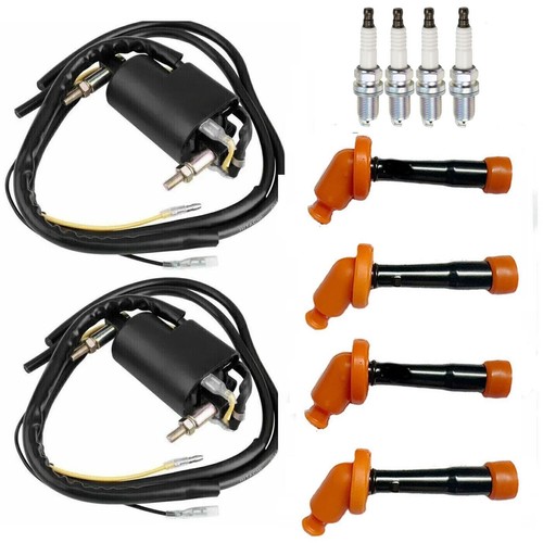 Ignition coils spark plug - 2x,