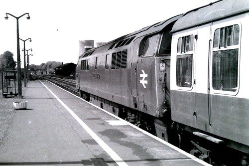 Class 52 western - 4,