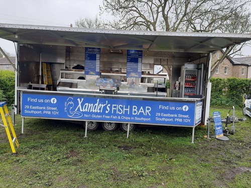 Fully equipped fish chips - fish,