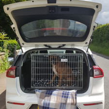 Pet World Kia Niro Sloping Dog