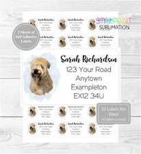 Soft Coated Wheaten Terrier