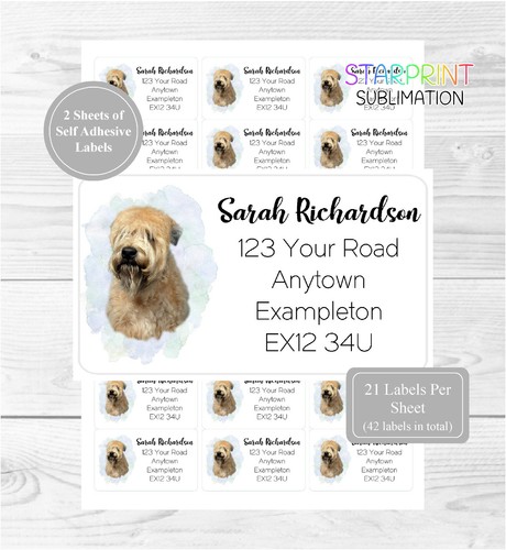 Soft coated wheaten - soft, terrier