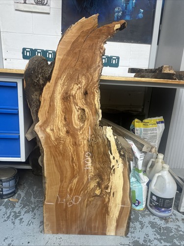 Apple solid wood 1100 - apple,