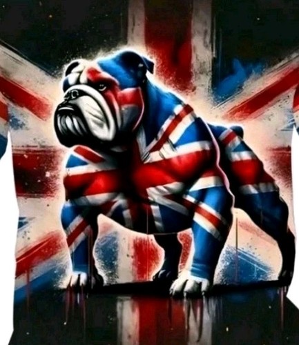 English pride men l - pride,