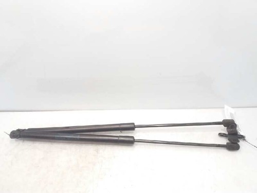 1666068 tailgate gas strut - gas,
