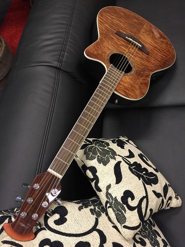 Ovation cs24p nbm - ovation, cs24p-nbm-g
