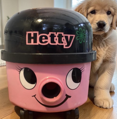 Hetty hoover vac serviced new - hoover/vac,serviced,