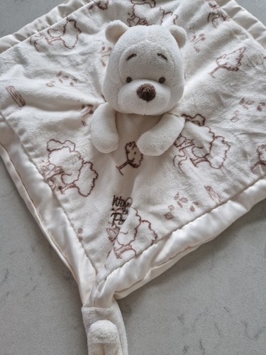 Winnie the pooh bear soft - the,