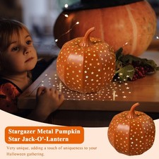 Martha Stewart Stargazer Metal