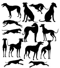 14 Greyhound Dog Vinyl Sticker Pack - Waterproof Decals - Peel & Stick