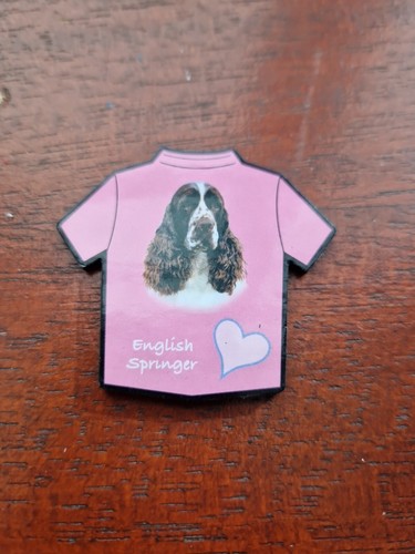 English springer spaniel - english,