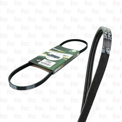 Alternator drive belt - belt, fan