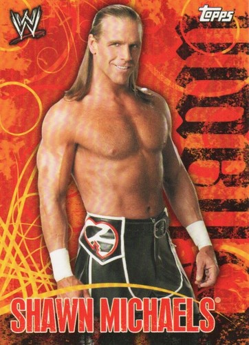 Wwf play face off mini - face,