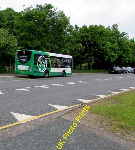 Photo 6x4 newport bus - 6x4,