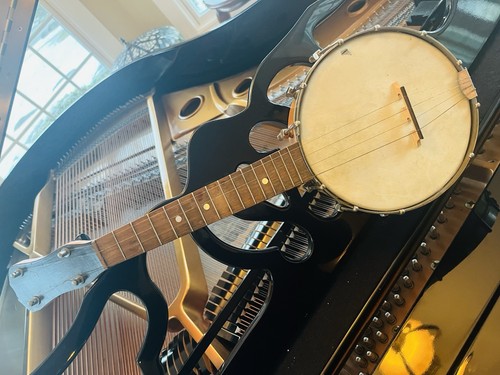 Vintage stewart banjo - stewart, banjo-