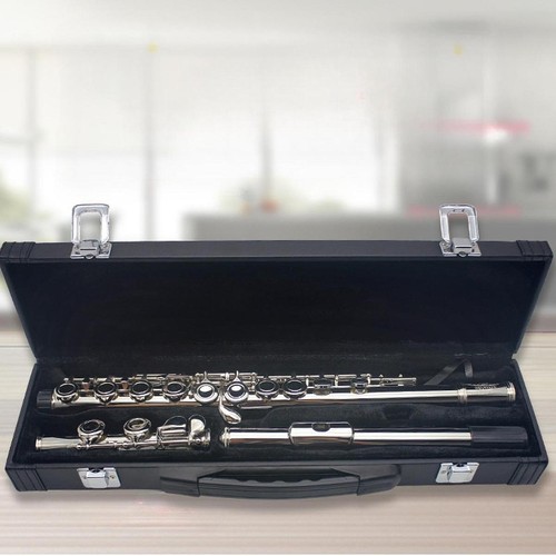 Flute carry gig bag - bag,