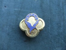 Charity badge NSPCC Prevention cruelty children volunteer worker aid fund