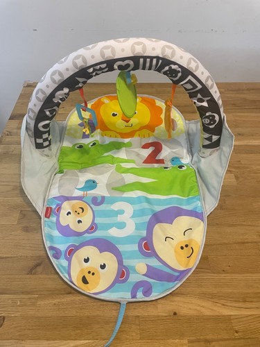 Fisher price playtime baby - price, gym