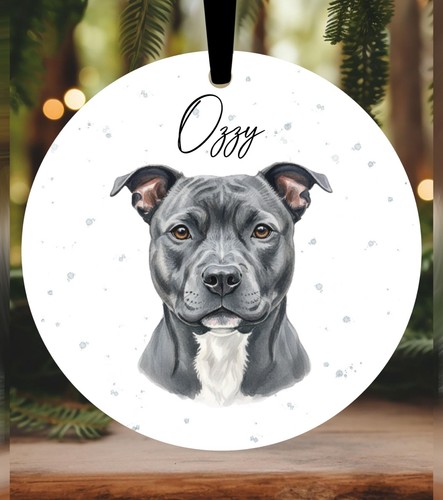 Staffordshire bull terrier - staffordshire,