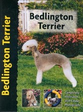 Bedlington Terrier (Pet Love