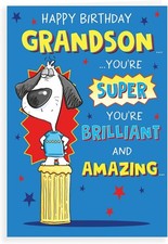 Grandson Birthday Card Humour